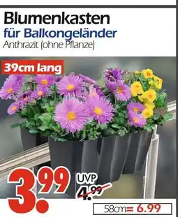 Wreesmann Blumenkasten Angebot