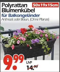 Wreesmann Polyrattan blumenkübel Angebot