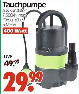 Wreesmann Tauchpumpe Angebot