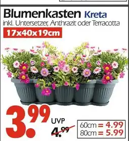 Wreesmann Blumenkasten kreta 17x40x19cm Angebot