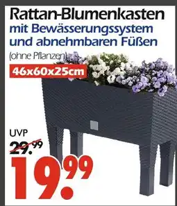 Wreesmann Rattan-blumenkasten Angebot