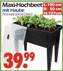 Wreesmann Maxi-hochbeet mit haube Angebot