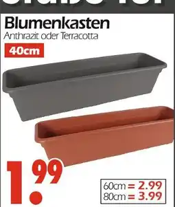 Wreesmann Blumenkasten 40cm Angebot