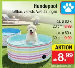 Zimmermann Hundepool faltbar 80 x 20 cm Angebot