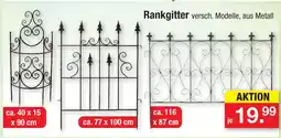 Zimmermann Rankgitter Angebot