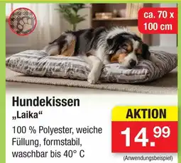 Zimmermann Hundekissen laika Angebot