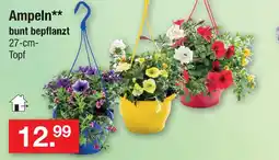 Zimmermann Ampeln Angebot