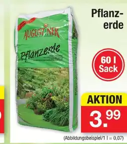 Zimmermann Augustiner pflanzerde Angebot