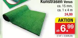 Zimmermann Kunstrasen venus Angebot