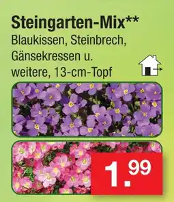 Zimmermann Steingarten-mix Angebot