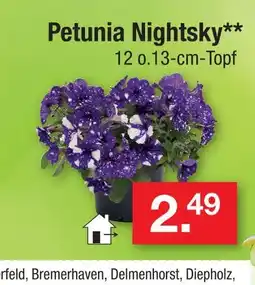Zimmermann Petunia nightsky Angebot