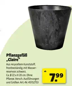 Hagebau Pflanzgefäß claire Angebot