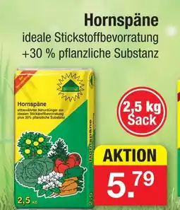 Zimmermann Hornspäne Angebot