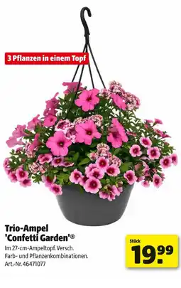 Hagebau Trio-ampel 'confetti garden' Angebot