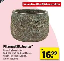Hagebau Pflanzgefäß „jupiter“ Angebot