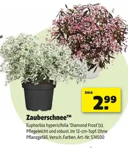 Hagebau Zauberschnee Angebot