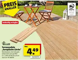 Hagebau Mr. gardener terrassendiele „europäische lärche“ Angebot