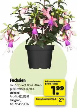 Hagebau Fuchsien Angebot