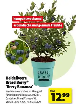 Hagebau Heidelbeere brazelberry 'berry bonanza' Angebot