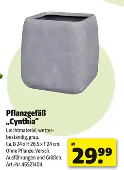 Hagebau Pflanzgefäß cynthia Angebot