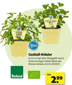 Hagebau Blu cocktail-kräuter Angebot
