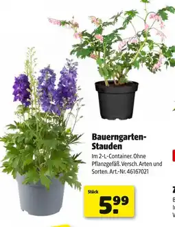 Hagebau Bauerngarten-stauden Angebot