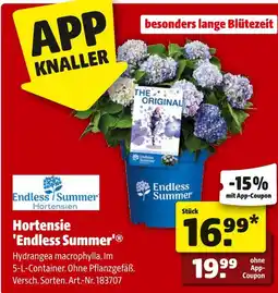 Hagebau Endless summer hortensie 'endless summer' Angebot