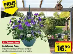 Hagebau Beetpflanzen-ampel Angebot