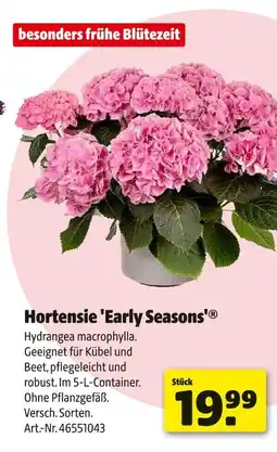 Hagebau Hortensie 'early seasons' Angebot