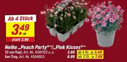 toom Baumarkt Nelke „peach party“/„pink kisses“ 12-cm-topf Angebot