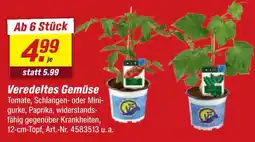 toom Baumarkt Veredeltes gemüse Angebot
