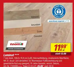 toom Baumarkt Toom laminat Angebot