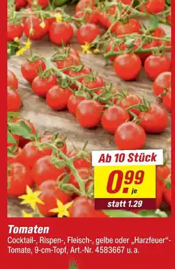 toom Baumarkt Tomaten Angebot