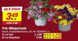 toom Baumarkt Trio-minipetunie Angebot