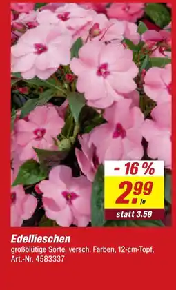 toom Baumarkt Edellieschen Angebot