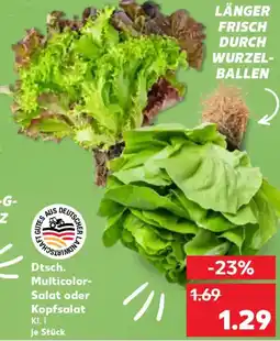 Kaufland Dtsch. Multicolor Salat oder Kopfsalat Angebot