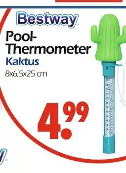 Wreesmann Bestway pool-thermometer kaktus Angebot