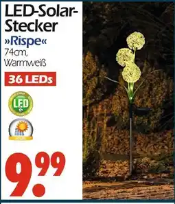 Wreesmann Led-solar-stecker rispe Angebot