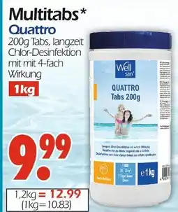 Wreesmann Well san multitabs quattro Angebot