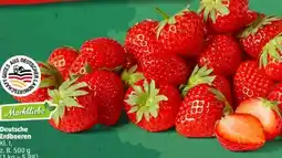 PENNY Marktliebe Erdbeeren Angebot