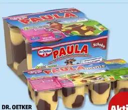 PENNY Dr. Oetker Paula Pudding Angebot