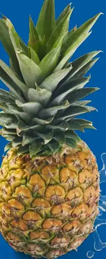 Lidl Ananas Angebot
