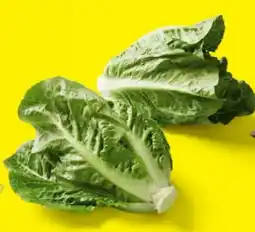 Lidl Mini-Romana-Salat Angebot