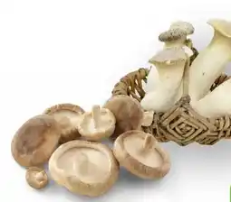 Edeka Unsere Heimat Bio Shiitake Angebot