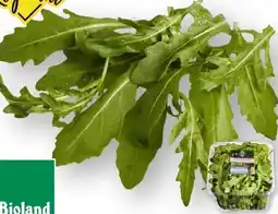 Edeka Unsere Heimat Bio Rucola Angebot