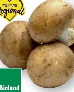 Edeka Unsere Heimat Echt & gut Bio Bioland-Champignons Angebot