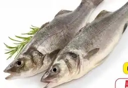 Edeka Wolfsbarsch Angebot