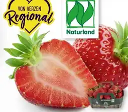 Edeka Unsere Heimat Echt & Gut Bio-Erdbeeren Angebot