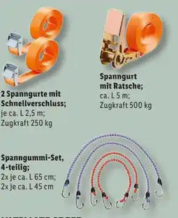 Lidl Ultimate Speed Spanngurtset Angebot
