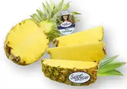 Scheck-in-Center SanLucar Ananas Angebot